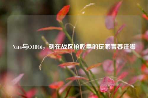 Nate与COD16,刻在战区枪膛里的玩家青春注脚