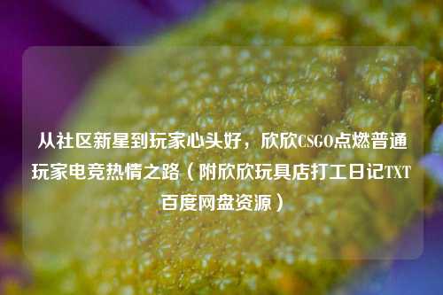 从社区新星到玩家心头好,欣欣CSGO点燃普通玩家电竞热情之路(附欣欣玩具店打工日记TXT百度网盘资源)