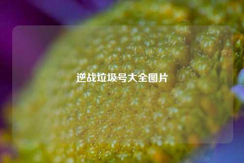 逆战垃圾号大全图片