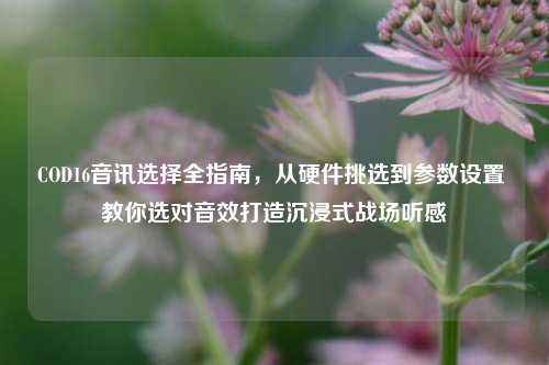 COD16音讯选择全指南，从硬件挑选到参数设置 教你选对音效打造沉浸式战场听感