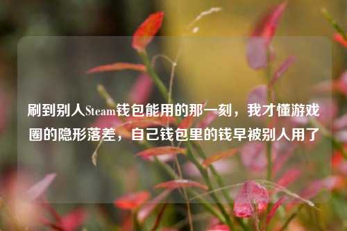 刷到别人Steam钱包能用的那一刻，我才懂游戏圈的隐形落差，自己钱包里的钱早被别人用了