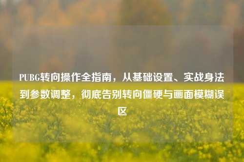 PUBG转向操作全指南,从基础设置、实战身法到参数调整,彻底告别转向僵硬与画面模糊误区
