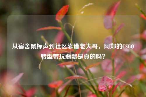 从宿舍鼠标声到社区靠谱老大哥，阿郑的CSGO转型带玩翡翠是真的吗？