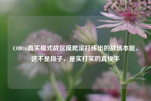 COD16真实模式战区摸爬滚打练出的战场本能，这不是段子，是实打实的真快手
