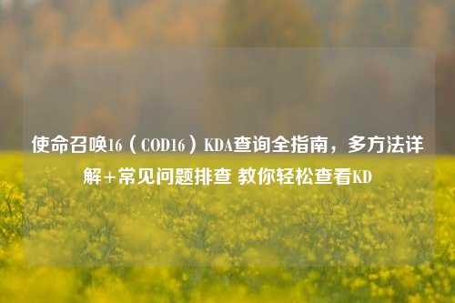 使命召唤16（COD16）KDA查询全指南，多方法详解+常见问题排查 教你轻松查看KD