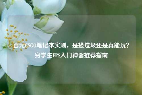 百元CSGO笔记本实测，是捡垃圾还是真能玩？穷学生FPS入门神器推荐指南