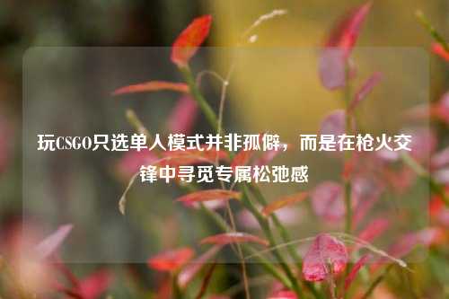 玩CSGO只选单人模式并非孤僻，而是在枪火交锋中寻觅专属松弛感