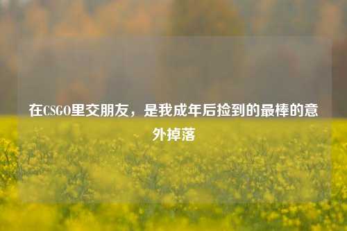 在CSGO里交朋友,是我成年后捡到的最棒的意外掉落