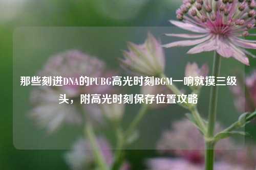 那些刻进DNA的PUBG高光时刻BGM一响就摸三级头,附高光时刻保存位置攻略