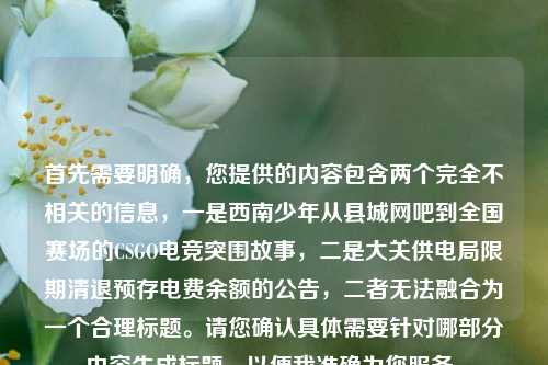 首先需要明确,您提供的内容包含两个完全不相关的信息,一是西南少年从县城网吧到全国赛场的CSGO电竞突围故事,二是大关供电局限期清退预存电费余额的公告,二者无法融合为一个合理标题。请您确认具体需要针对哪部分内容生成标题,以便我准确为您服务。
