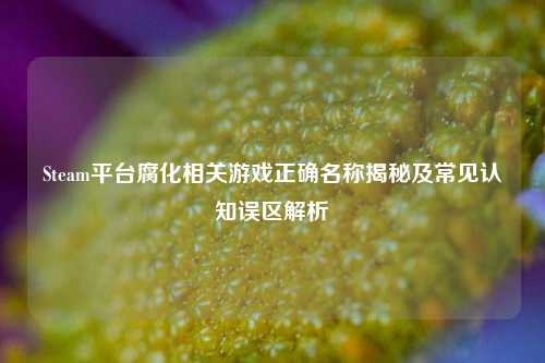 Steam平台腐化相关游戏正确名称揭秘及常见认知误区解析