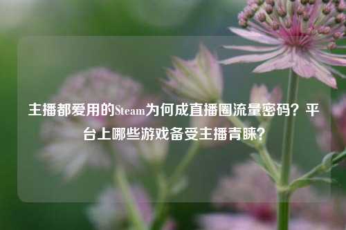 主播都爱用的Steam为何成直播圈流量密码?平台上哪些游戏备受主播青睐?