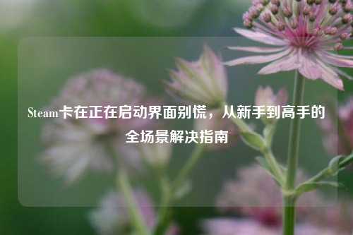 Steam卡在正在启动界面别慌,从新手到高手的全场景解决指南