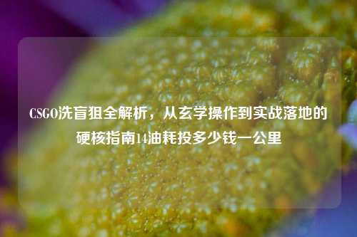 CSGO洗盲狙全解析,从玄学操作到实战落地的硬核指南14油耗投多少钱一公里