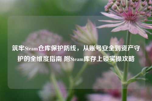 筑牢Steam仓库保护防线,从账号安全到资产守护的全维度指南 附Steam库存上锁实操攻略