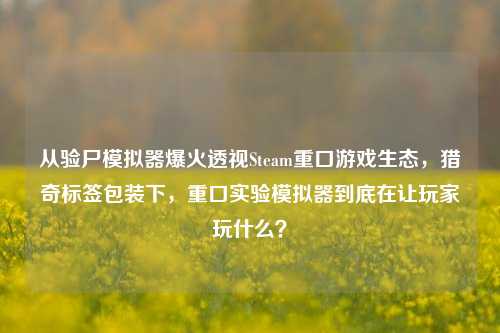 从验尸模拟器爆火透视Steam重口游戏生态,猎奇标签包装下,重口实验模拟器到底在让玩家玩什么?