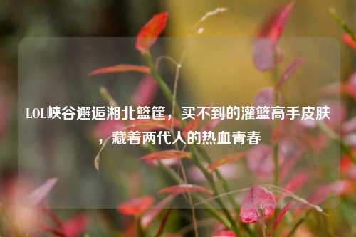 LOL峡谷邂逅湘北篮筐，买不到的灌篮高手皮肤，藏着两代人的热血青春