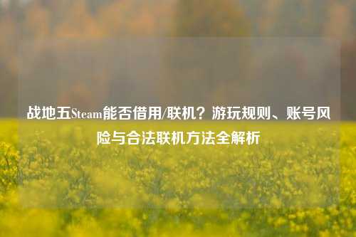 战地五Steam能否借用/联机？游玩规则、账号风险与合法联机方法全解析