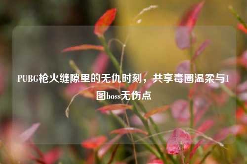 PUBG枪火缝隙里的无仇时刻，共享毒圈温柔与1图boss无伤点