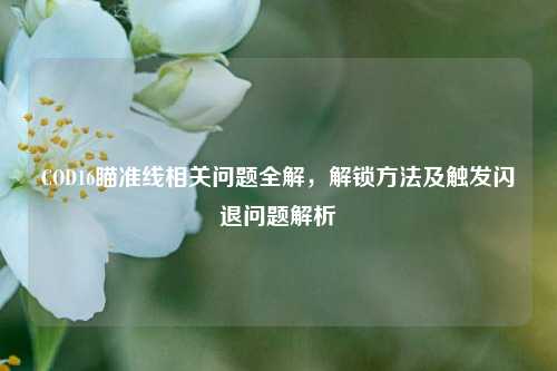 COD16瞄准线相关问题全解，解锁方法及触发闪退问题解析