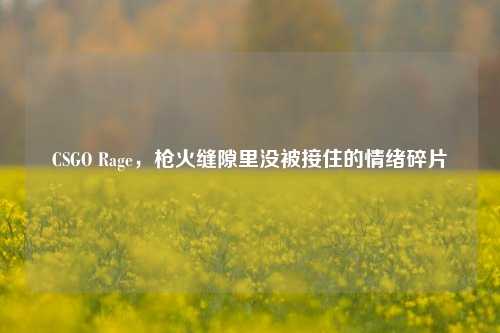 CSGO Rage，枪火缝隙里没被接住的情绪碎片