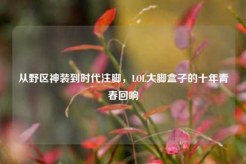 从野区神装到时代注脚,LOL大脚盒子的十年青春回响
