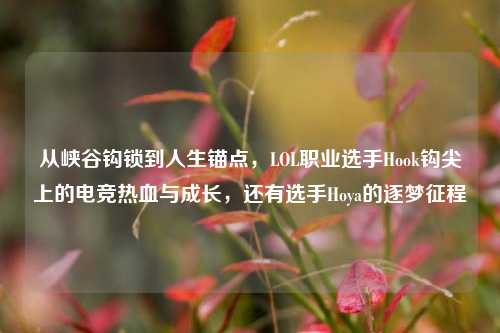 从峡谷钩锁到人生锚点,LOL职业选手Hook钩尖上的电竞热血与成长,还有选手Hoya的逐梦征程