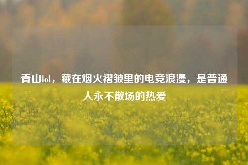 青山lol，藏在烟火褶皱里的电竞浪漫，是普通人永不散场的热爱