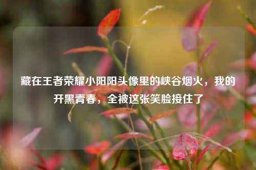 藏在王者荣耀小阳阳头像里的峡谷烟火,我的开黑青春,全被这张笑脸接住了