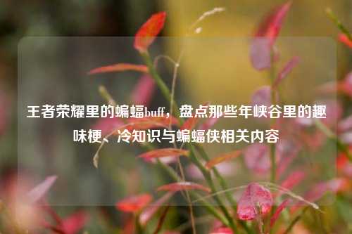 王者荣耀里的蝙蝠buff,盘点那些年峡谷里的趣味梗、冷知识与蝙蝠侠相关内容