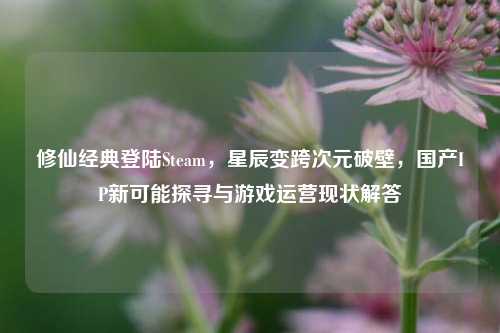 修仙经典登陆Steam,星辰变跨次元破壁,国产IP新可能探寻与游戏运营现状解答