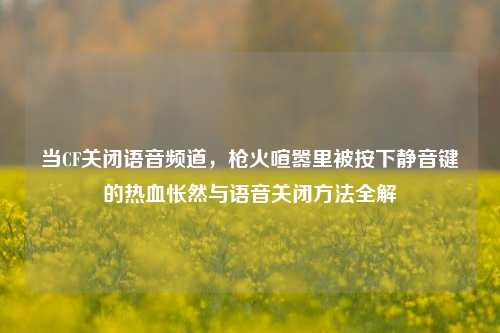 当CF关闭语音频道,枪火喧嚣里被按下静音键的热血怅然与语音关闭方法全解