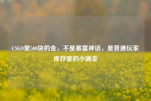 CSGO里500块的金，不是暴富神话，是普通玩家库存里的小确幸