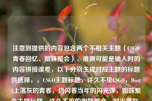 注意到提供的内容包含两个不相关主题（CSGO青春回忆、姐妹聚会），推测可能是输入时的内容拼接误差，以下分别生成对应主题的标题供选择，，CSGO主题标题，许久不见CSGO，Dust2上落灰的青春，仍闪着当年的闪光弹，姐妹聚会主题标题，许久不见的姐妹聚会，时光落灰，我们的情谊仍闪着光