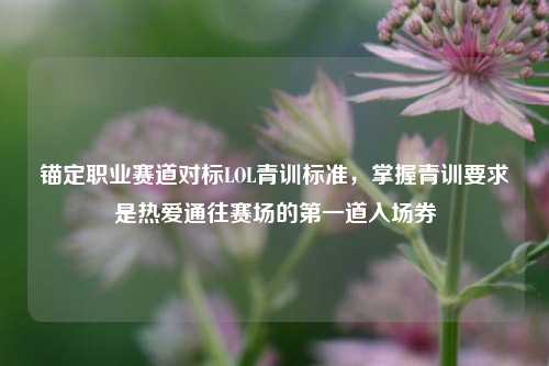 锚定职业赛道对标LOL青训标准,掌握青训要求是热爱通往赛场的第一道入场券