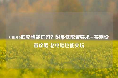 COD16低配版能玩吗？附最低配置要求+实测设置攻略 老电脑也能爽玩