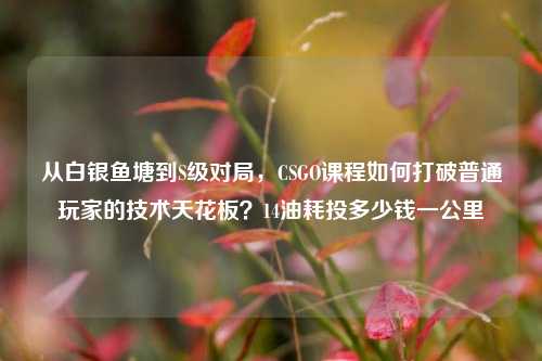从白银鱼塘到S级对局，CSGO课程如何打破普通玩家的技术天花板？14油耗投多少钱一公里