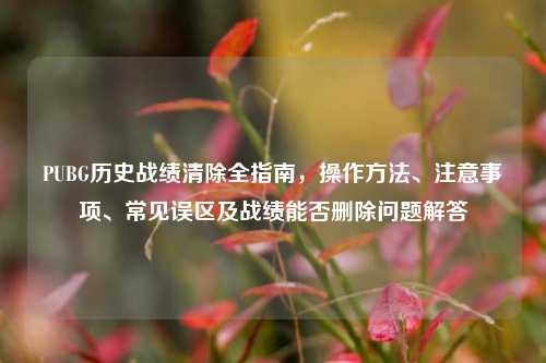 PUBG历史战绩清除全指南,操作方法、注意事项、常见误区及战绩能否删除问题解答