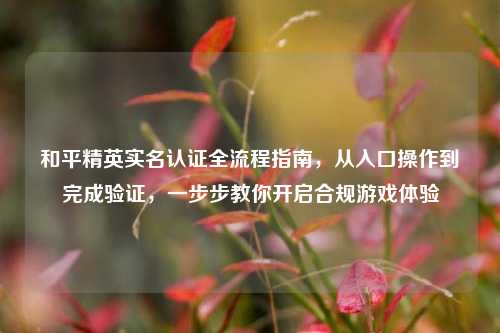 和平精英实名认证全流程指南,从入口操作到完成验证,一步步教你开启合规游戏体验