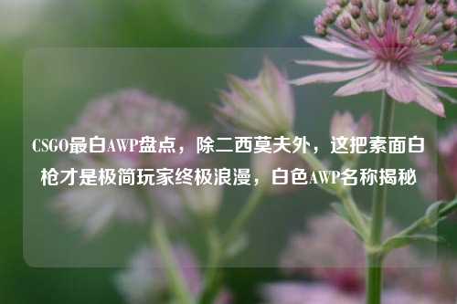 CSGO最白AWP盘点，除二西莫夫外，这把素面白枪才是极简玩家终极浪漫，白色AWP名称揭秘