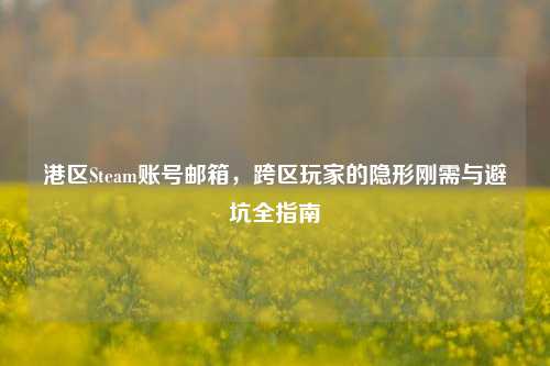 港区Steam账号邮箱,跨区玩家的隐形刚需与避坑全指南