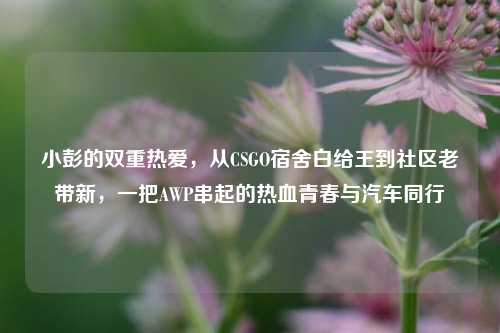 小彭的双重热爱,从CSGO宿舍白给王到社区老带新,一把AWP串起的热血青春与汽车同行