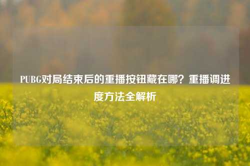 PUBG对局结束后的重播按钮藏在哪?重播调进度方法全解析