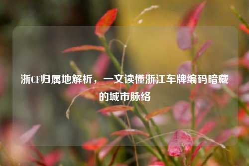 浙CF归属地解析,一文读懂浙江车牌编码暗藏的城市脉络