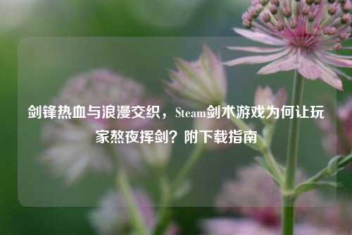 剑锋热血与浪漫交织,Steam剑术游戏为何让玩家熬夜挥剑?附下载指南