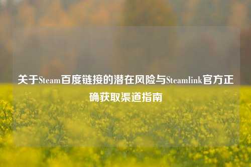 关于Steam百度链接的潜在风险与Steamlink官方正确获取渠道指南