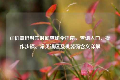 CF机器码封禁时间查询全指南,查询入口、操作步骤、常见误区及机器码含义详解