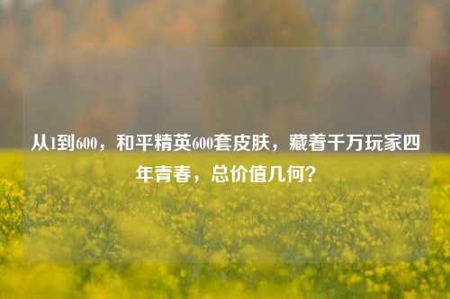 从1到600，和平精英600套皮肤，藏着千万玩家四年青春，总价值几何？