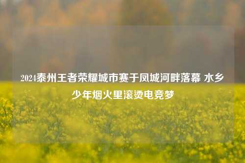 2024泰州王者荣耀城市赛于凤城河畔落幕 水乡少年烟火里滚烫电竞梦