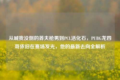 从喊我没倒的莽夫枪男到PCL活化石,PUBG龙四哥依旧在赛场发光,他的最新去向全解析